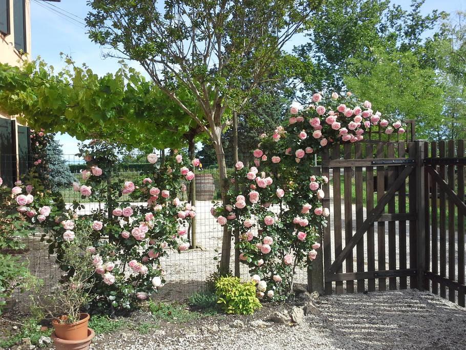 B&B Verde Venezia Местре Экстерьер фото