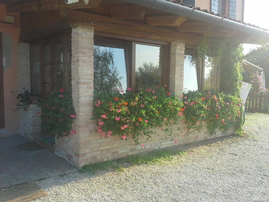 B&B Verde Venezia Местре Экстерьер фото